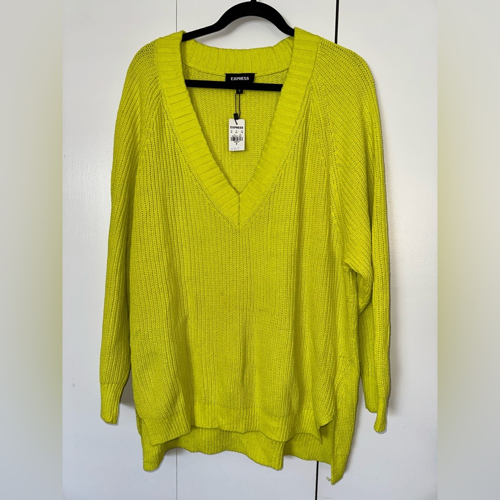 NWT Express Oversized V Neck Sweater